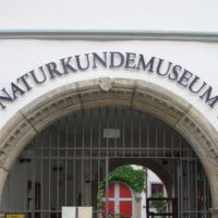 Endlich wieder ins Museum!