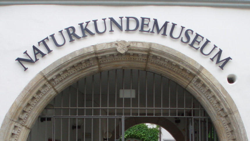 Endlich wieder ins Museum!