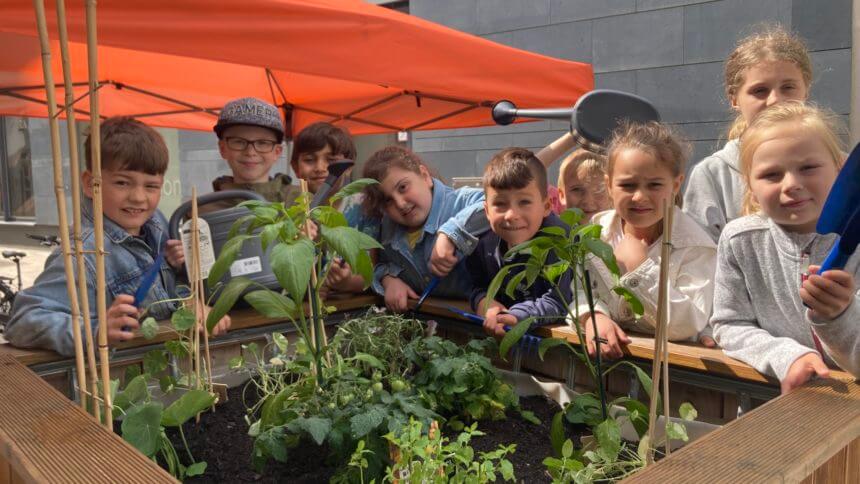 Hochbeet mitten in der Stadt